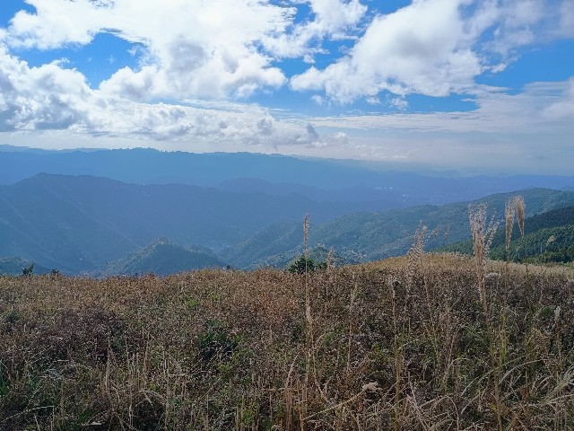 f:id:developingexplorer:20241102111213j:image