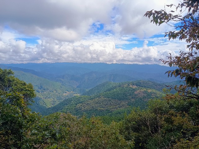 f:id:developingexplorer:20241102111227j:image