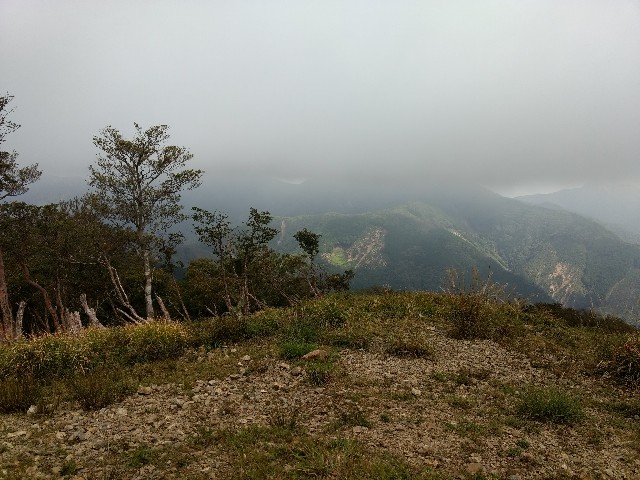f:id:developingexplorer:20241109151846j:image