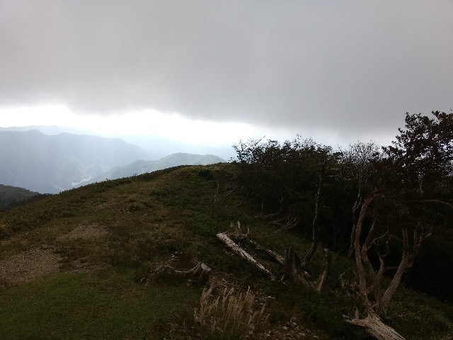 f:id:developingexplorer:20241109152047j:image