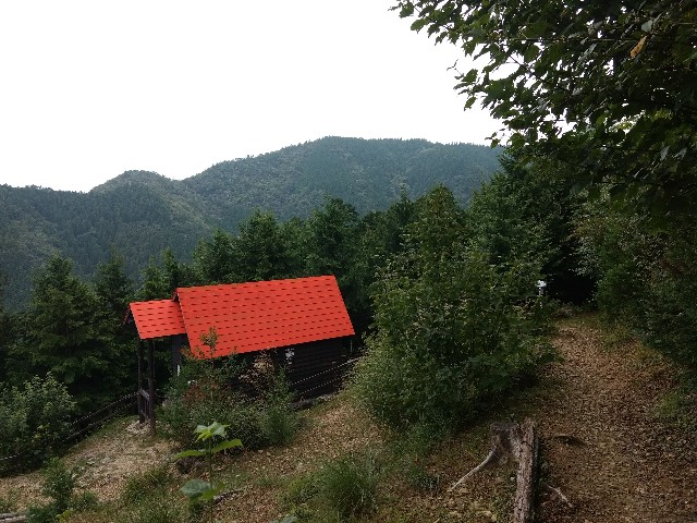 f:id:developingexplorer:20241109153128j:image