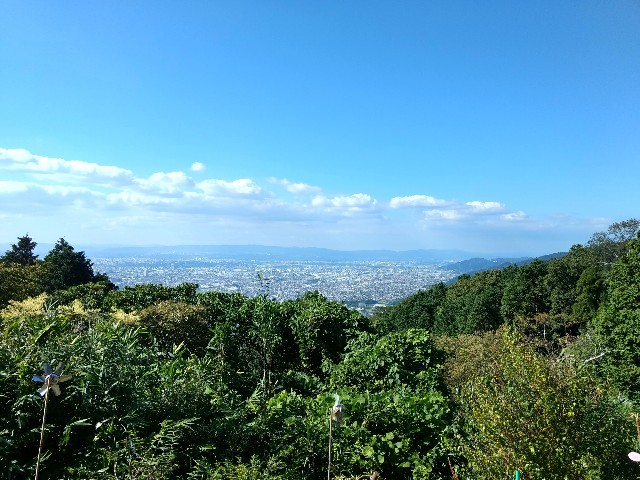 f:id:developingexplorer:20241116185537j:image