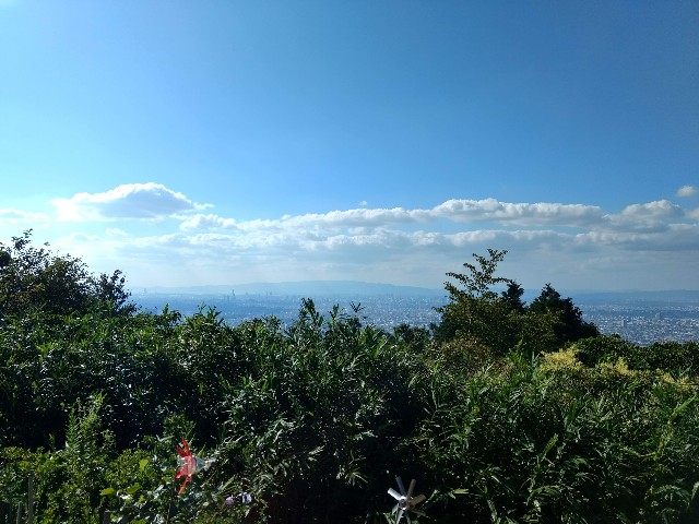 f:id:developingexplorer:20241116185601j:image