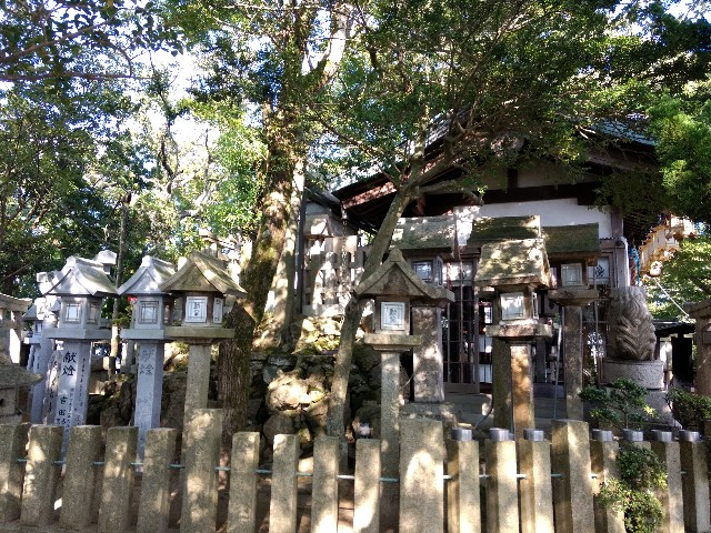 f:id:developingexplorer:20241116185919j:image