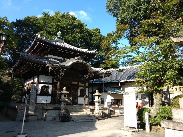 f:id:developingexplorer:20241116190037j:image