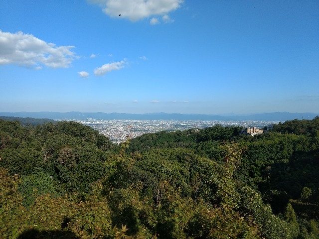 f:id:developingexplorer:20241116190131j:image