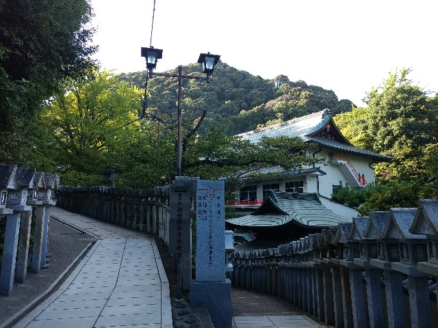f:id:developingexplorer:20241116190221j:image