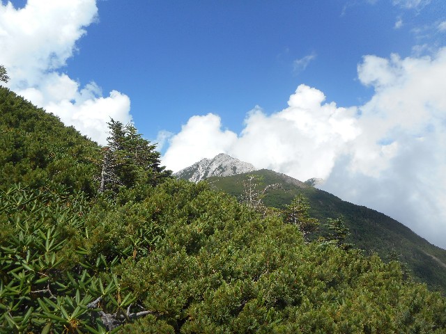 f:id:developingexplorer:20241123154426j:image f:id:developingexplorer:20241123154426j:image