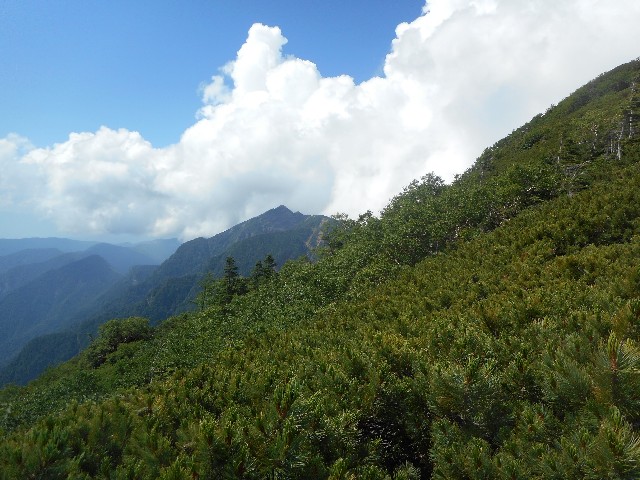 f:id:developingexplorer:20241123174933j:image f:id:developingexplorer:20241123174933j:image