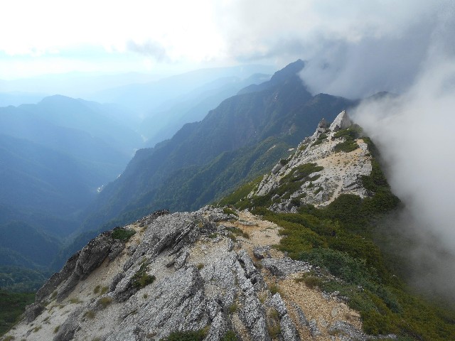 f:id:developingexplorer:20241123182541j:image f:id:developingexplorer:20241123182541j:image