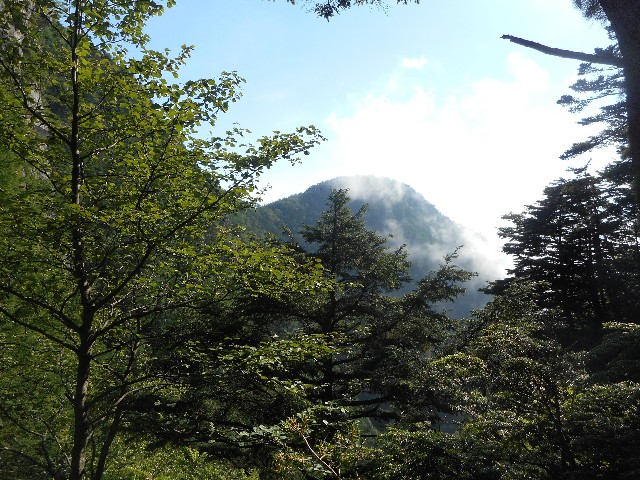 f:id:developingexplorer:20241130191447j:image f:id:developingexplorer:20241130191447j:image