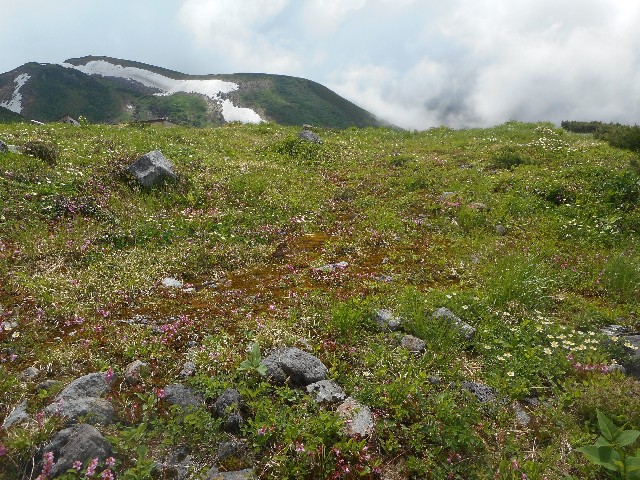 f:id:developingexplorer:20241214171100j:image