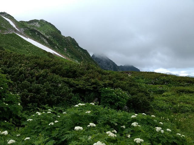 f:id:developingexplorer:20241214204005j:image