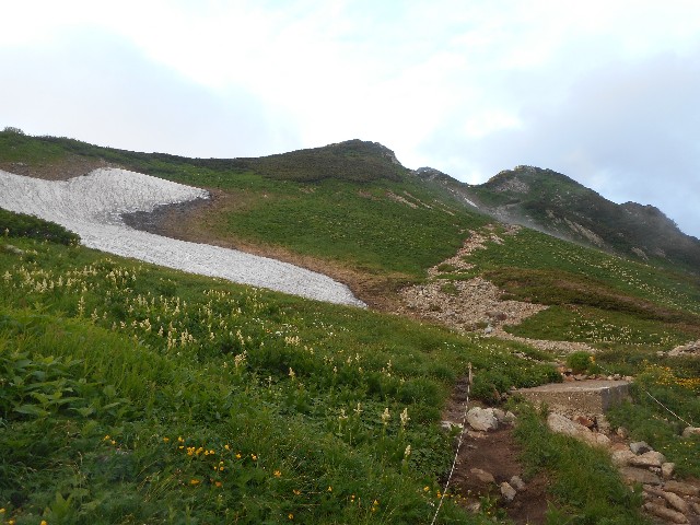 f:id:developingexplorer:20241214204043j:image