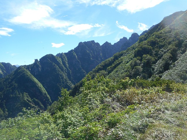 f:id:developingexplorer:20241221205158j:image