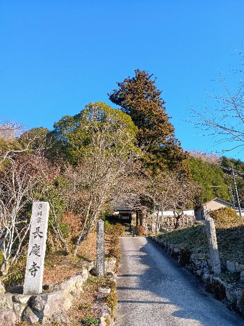 f:id:developingexplorer:20241230091656j:image