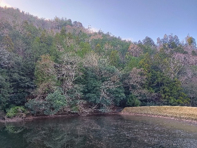 f:id:developingexplorer:20241230092302j:image