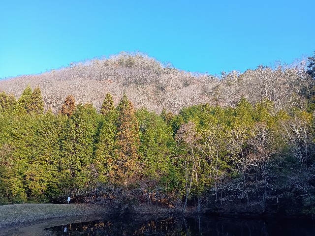 f:id:developingexplorer:20241230092315j:image