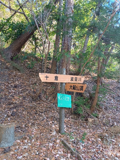 f:id:developingexplorer:20241230092656j:image