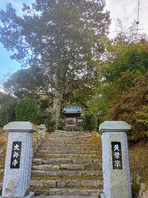f:id:developingexplorer:20241230095812j:image