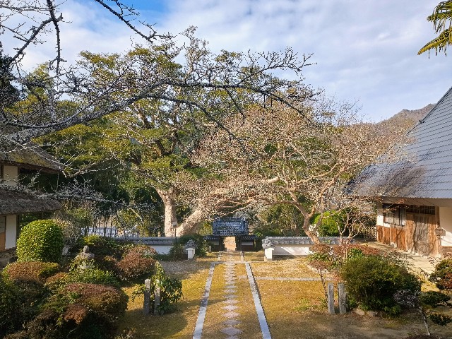 f:id:developingexplorer:20241230095835j:image