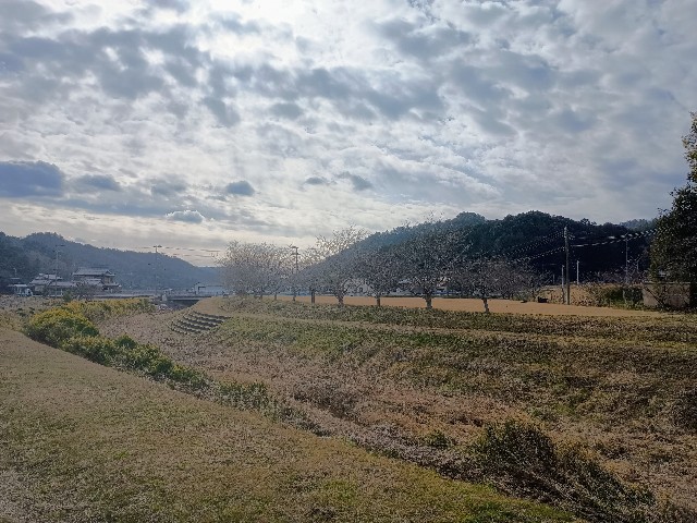 f:id:developingexplorer:20241230100555j:image