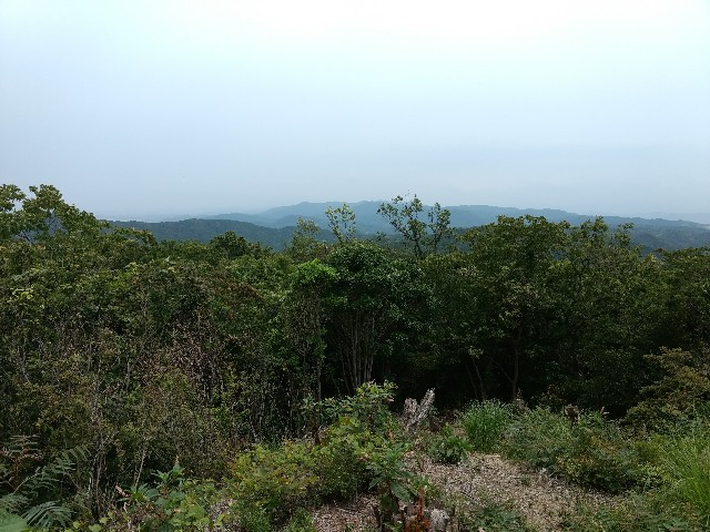 f:id:developingexplorer:20250101152906j:image