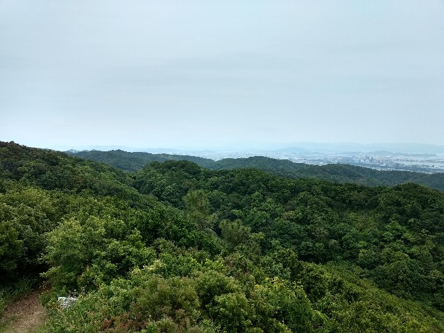 f:id:developingexplorer:20250101154008j:image