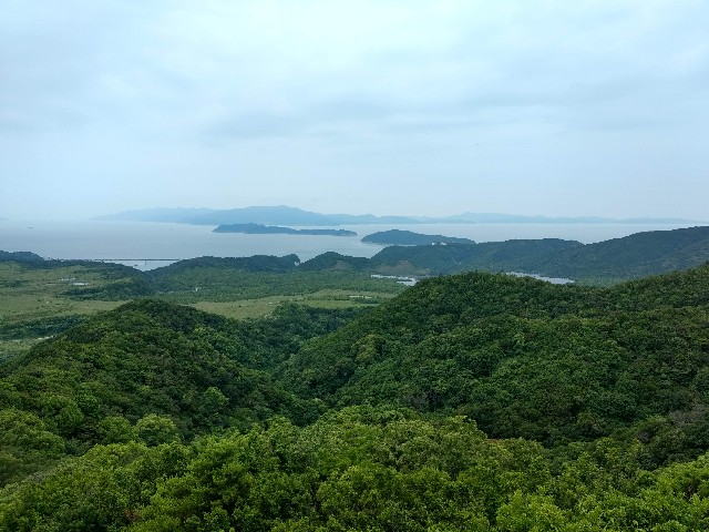 f:id:developingexplorer:20250101154025j:image
