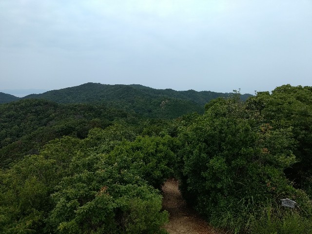 f:id:developingexplorer:20250101154052j:image