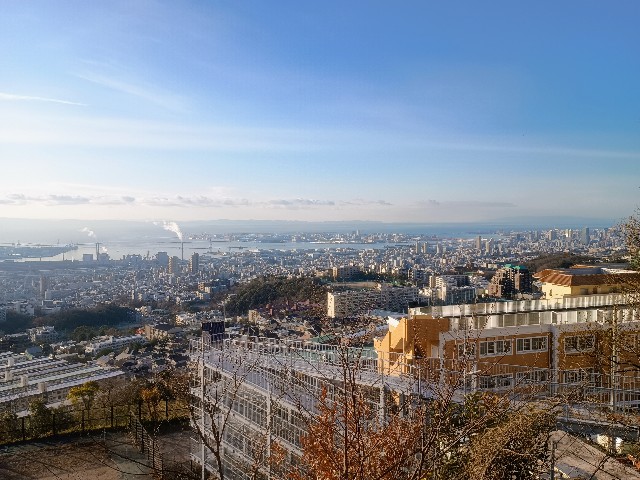 f:id:developingexplorer:20250111192834j:image