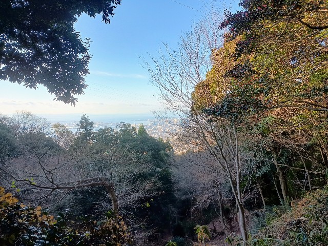 f:id:developingexplorer:20250111192900j:image