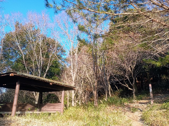 f:id:developingexplorer:20250111192957j:image