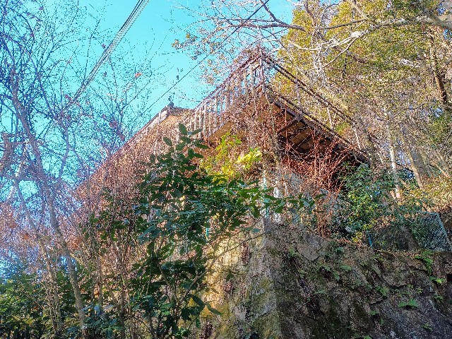 f:id:developingexplorer:20250111193119j:image