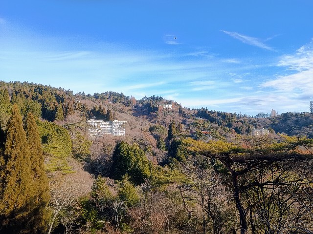 f:id:developingexplorer:20250111193132j:image