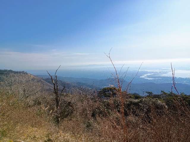 f:id:developingexplorer:20250111193352j:image