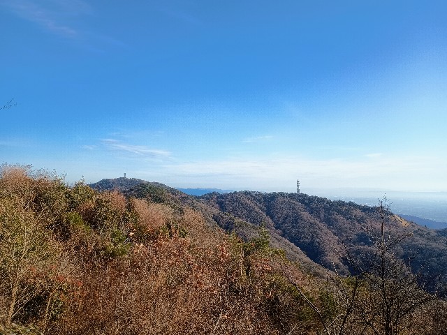 f:id:developingexplorer:20250111193401j:image