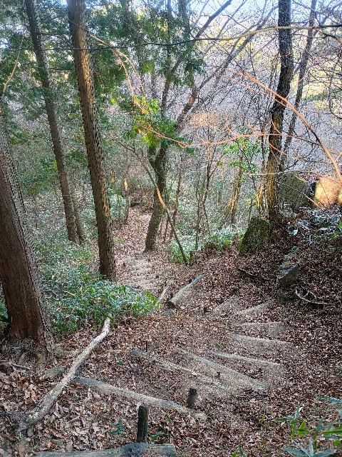 f:id:developingexplorer:20250111193448j:image
