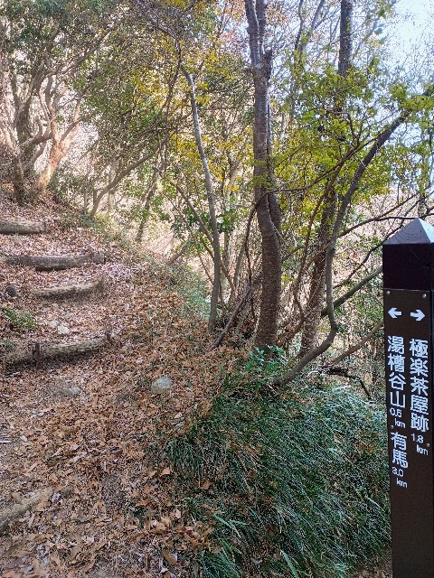 f:id:developingexplorer:20250111193500j:image