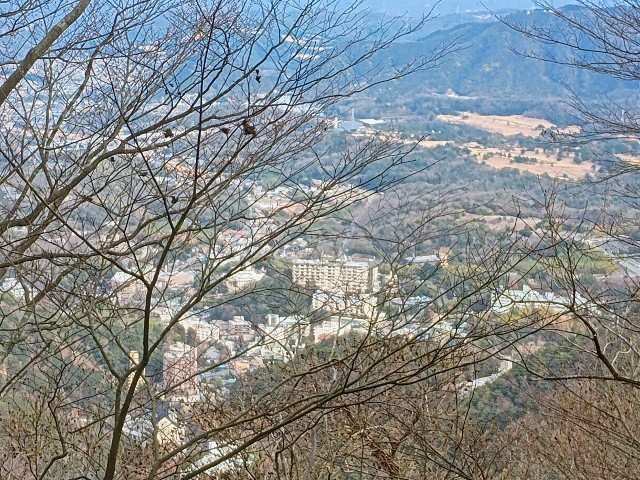 f:id:developingexplorer:20250111193555j:image