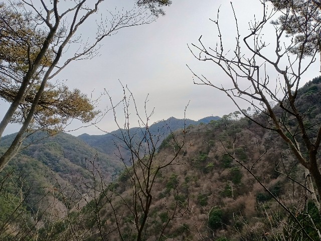 f:id:developingexplorer:20250111193643j:image