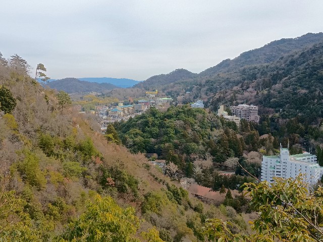 f:id:developingexplorer:20250111193818j:image