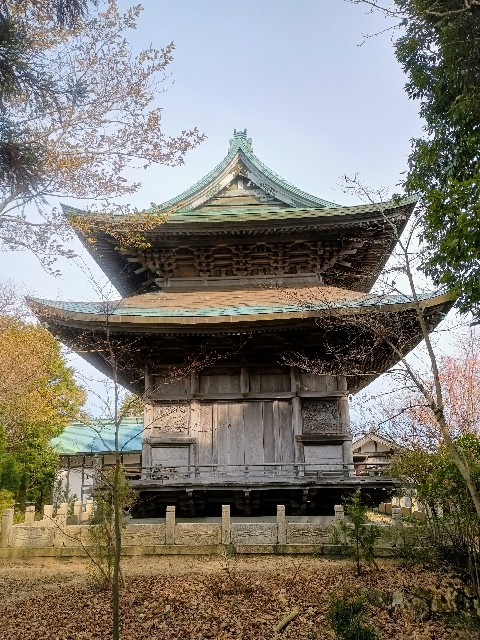 f:id:developingexplorer:20250111193905j:image
