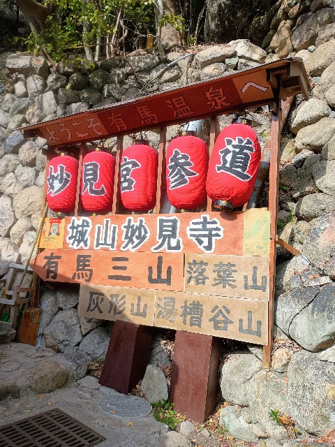 f:id:developingexplorer:20250111193957j:image