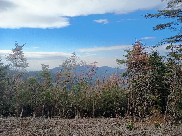 f:id:developingexplorer:20250113154447j:image f:id:developingexplorer:20250113154447j:image