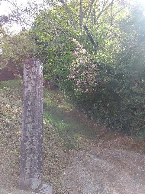 f:id:developingexplorer:20250125154512j:image f:id:developingexplorer:20250125154512j:image