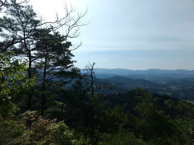 f:id:developingexplorer:20250125154836j:image f:id:developingexplorer:20250125154836j:image