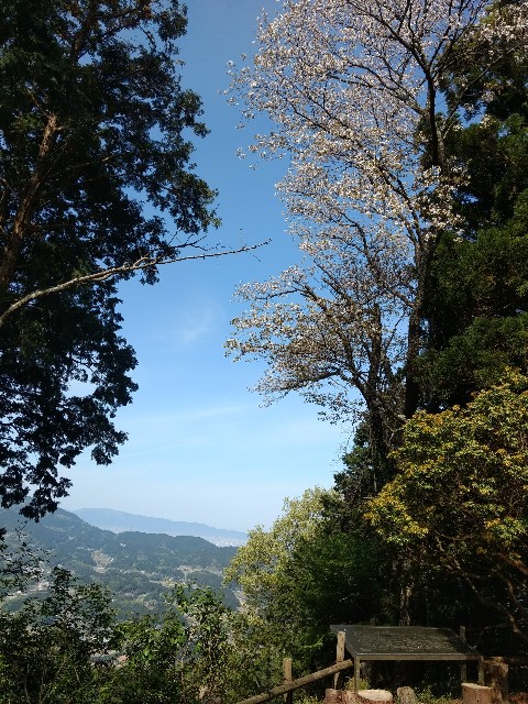 f:id:developingexplorer:20250125164720j:image f:id:developingexplorer:20250125164720j:image