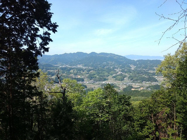 f:id:developingexplorer:20250125164743j:image f:id:developingexplorer:20250125164743j:image