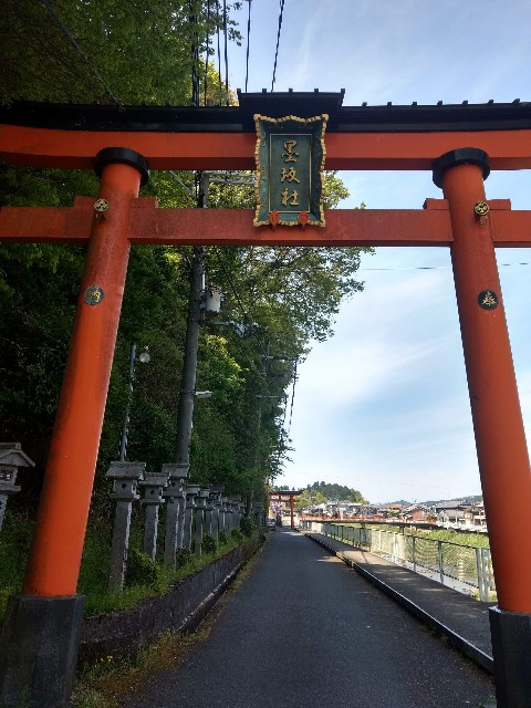 f:id:developingexplorer:20250125173310j:image f:id:developingexplorer:20250125173310j:image